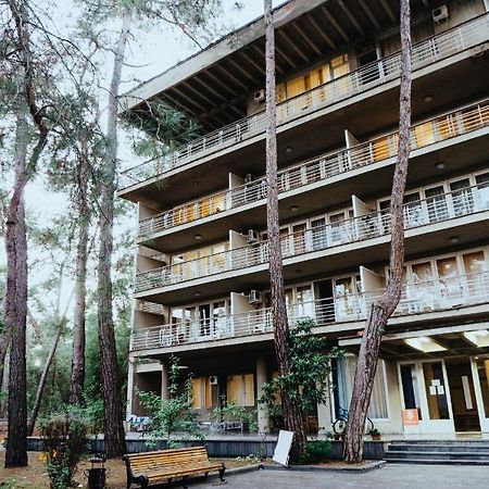 Gosdacha Ldzaa Hotel Lidzava Exterior photo